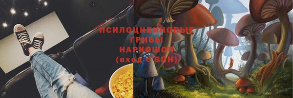 PSILOCYBIN Вязьма