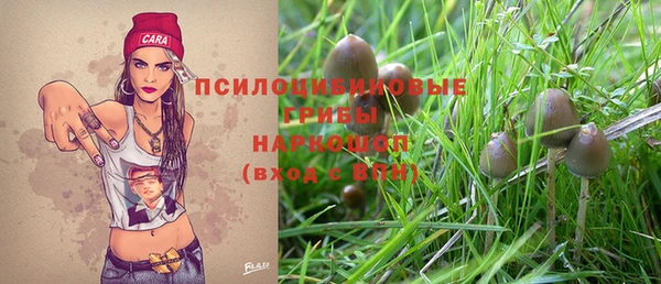 спайс Вяземский