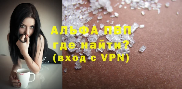 PSILOCYBIN Вязьма