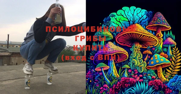 прущие крисы Вязники