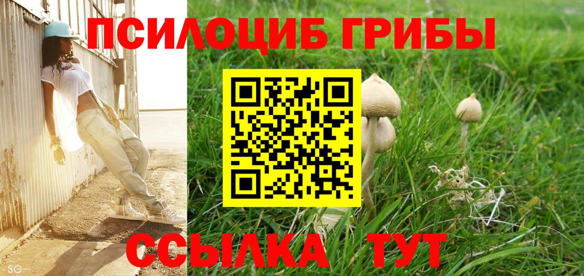 Назарово  Галлюциногенные грибы ЛСД  купить   Вход с VPN 