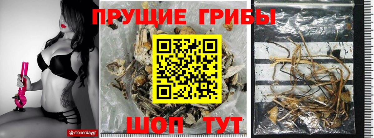 Псилоцибиновые грибы мицелий Назарово