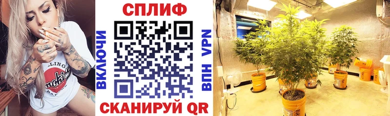 цена наркотик  Назарово  MEGA как войти  Бошки марихуана Amnesia 